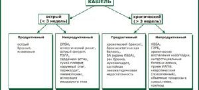 Кашель: разновидности с причинами развития и методами лечения