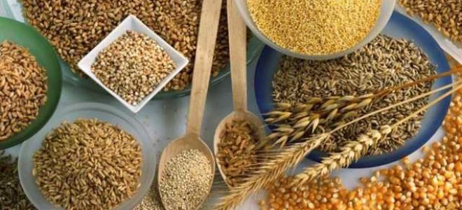 Диета при мастопатии: нюансы меню для фиброзно кистозной формы