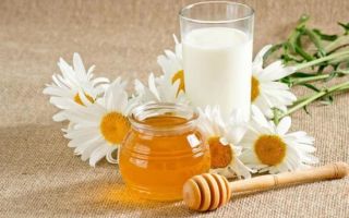 Молоко с медом от кашля: простые рецепты и полезные свойства