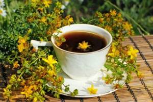 Фитопростат и другие травяные чаи: безопасная терапия простатита