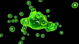 Зеленая мокрота при кашле: что означает симптом и как его лечить