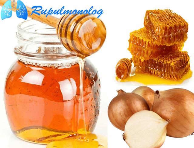 Лук с медом от кашля: польза и особенности приготовления средства