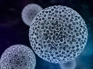 Вирус папилломы человека: чем опасен и кто в зоне риска