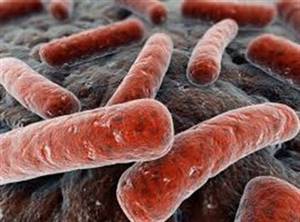 Туберкулез простаты: причины возникновения и особенности лечения