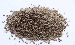 Семена петрушки от простатита: популярные способы применения