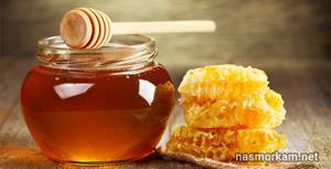Лук с медом от кашля: польза и особенности приготовления средства