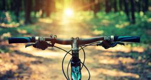 Велосипед и простатит: мнения врачей о допустимости велоспорта