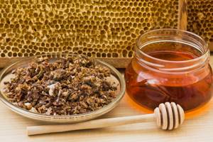 Лечение простатита пчелиным подмором: рецепты полезных средств