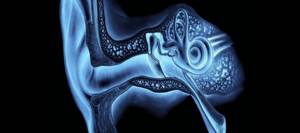 Проведение компьютерной томографии уха при проблемах слуха