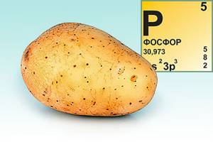 Компресс из картошки от кашля: полезные свойства и применение