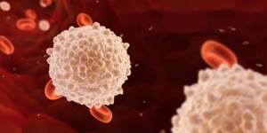 Лейкоциты в секрете простаты: норма и отклонение в анализах