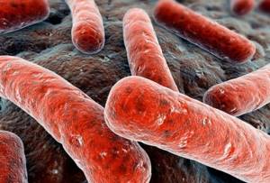 Туберкулез простаты: причины возникновения и особенности лечения